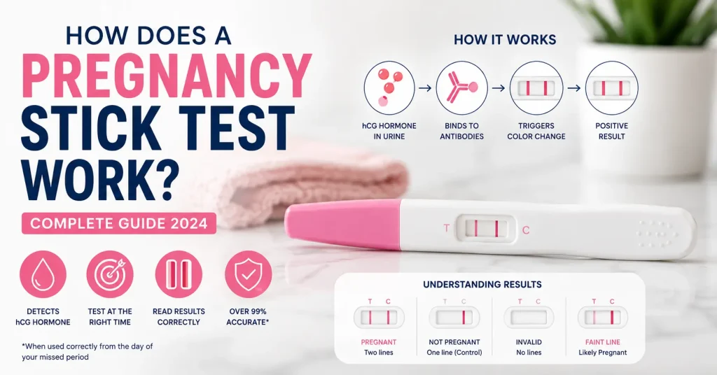 How Does a Pregnancy Stick Test Work?
